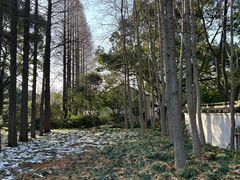 -枫桥景区