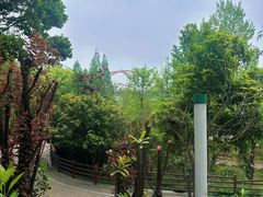 -丹水桥地锅鱼·翘嘴鲌·地方特色全鱼宴(丹江口大坝店)