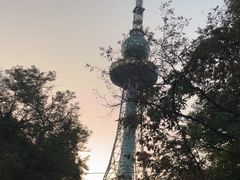 -青岛电视塔