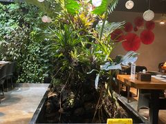 -森味薪火烧•烧鸟居酒屋•日本料理(望京店)