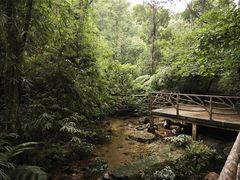 -海南热带雨林国家公园吊罗山景区