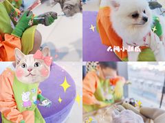 -怪兽屋·羊驼·猫咖·狗咖(俊华广场店)