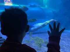 -左海海底世界