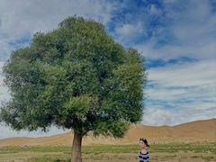 -亿利库布其七星湖沙漠生态旅游区