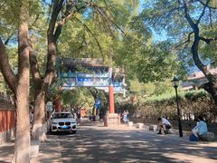-北京国子监胡同