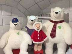 -济州岛泰迪熊博物馆