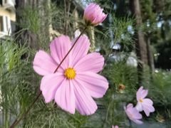 -丽江泸沽湖景区