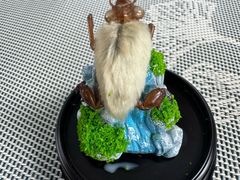 -利星行天竺之星汽车有限公司