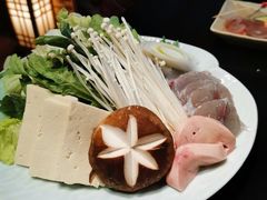 -鲤·鮨KOISUSHI