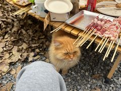 -小时光咖啡馆(开森度假森林店)