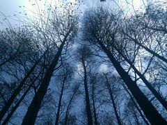 -共青国家森林公园-售票处