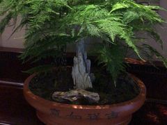 -乌镇望津里精品酒店