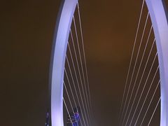 -南京眼步行桥