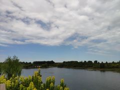 -东郊湿地公园
