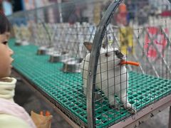 -南湖梦幻岛