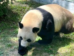 -大连森林动物园