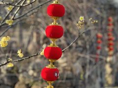-鹅湖玫瑰文化园