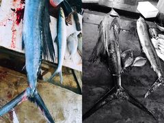 -尼甘布海鲜市场