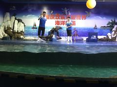 -重庆欢乐海底世界