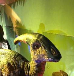 -恐龙探索乐园(磁器口店)