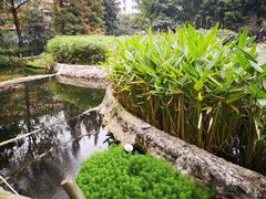 -成都市活水公园