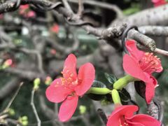 -成都杜甫草堂博物馆
