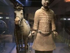 -秦始皇帝陵博物院-丽山园