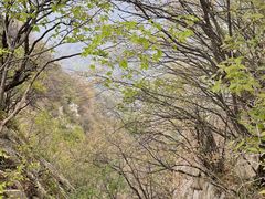 -秦岭终南山世界地质公园翠华山景区