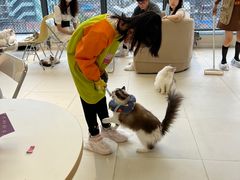 -怪兽屋·羊驼·猫咖·狗咖(俊华广场店)