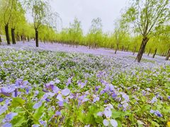 -将府公园