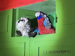 -屋有岛沉浸游戏旗舰店(中山公园店)