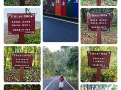 -孔雀湖生态旅游区