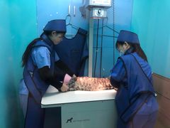-哆趣宠物医院·眼科·内镜·急重症转诊中心(上海店)