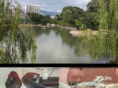 -青藏高原野生动物园