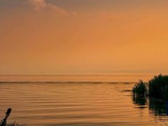 -太湖面馆十八浇(渔港路店)