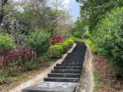 -阳台山森林公园