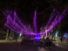 -金砂公园