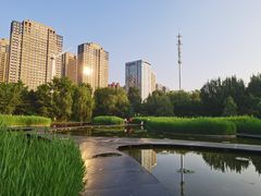 -长白岛森林公园