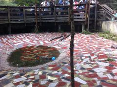 iphone_upload_pic-溱湖国家湿地公园