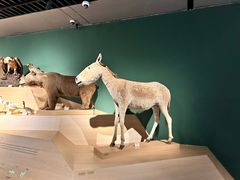 -中国湿地博物馆