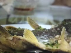 -岭南海晏楼(东晓南店)