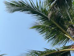 -三亚蜈支洲岛旅游区