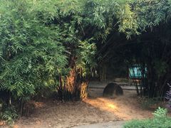 -中山市树木园
