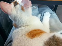 -转山咖啡(松柏社区店)