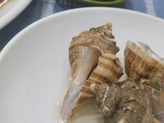 -明记海鲜大排档(巽寮湾店)