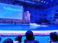 -华夏文旅西安度假区