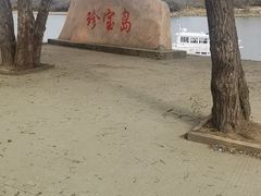 -珍宝岛