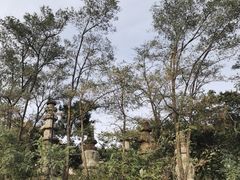 -大泽山风景名胜区