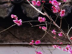 -汇龙潭