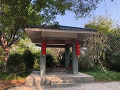 -玉树公园